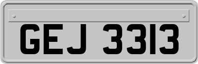 GEJ3313