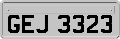 GEJ3323