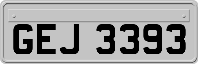 GEJ3393