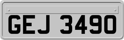 GEJ3490