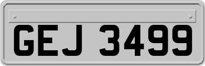 GEJ3499