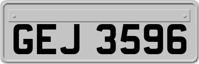 GEJ3596