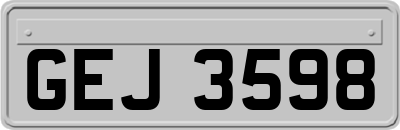 GEJ3598
