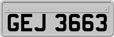 GEJ3663