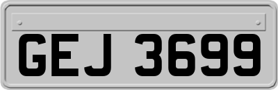 GEJ3699