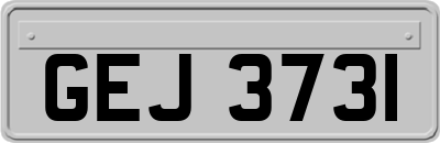 GEJ3731