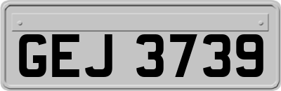 GEJ3739