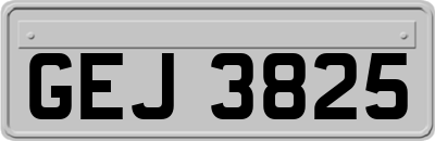 GEJ3825