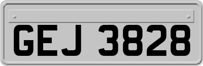 GEJ3828