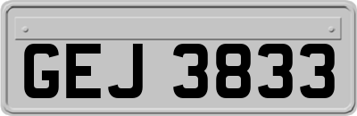 GEJ3833