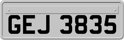 GEJ3835