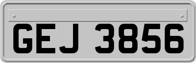 GEJ3856