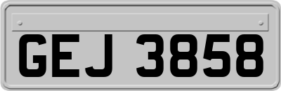 GEJ3858