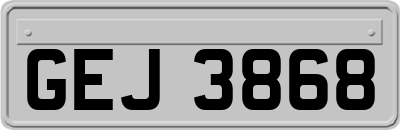 GEJ3868