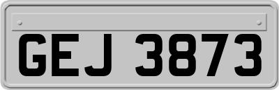 GEJ3873