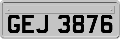 GEJ3876