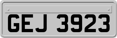 GEJ3923