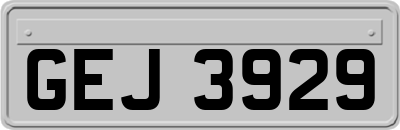 GEJ3929