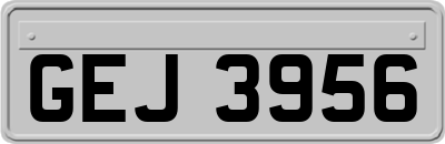 GEJ3956