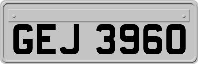 GEJ3960