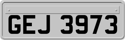 GEJ3973