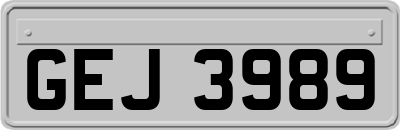 GEJ3989