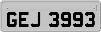 GEJ3993