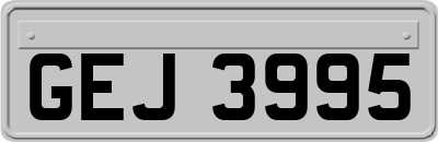 GEJ3995