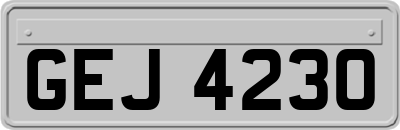 GEJ4230