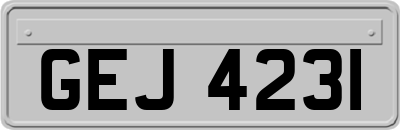 GEJ4231
