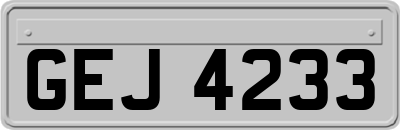 GEJ4233
