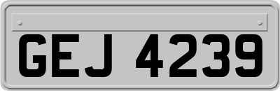 GEJ4239
