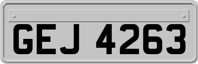 GEJ4263