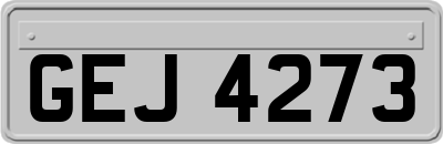 GEJ4273