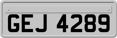 GEJ4289