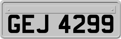 GEJ4299