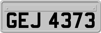 GEJ4373