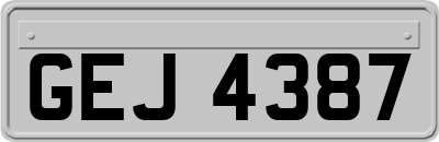 GEJ4387