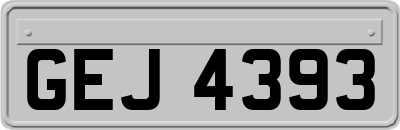 GEJ4393
