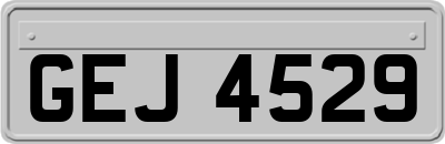 GEJ4529