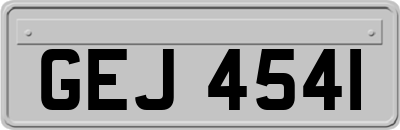 GEJ4541