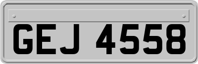 GEJ4558