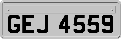 GEJ4559