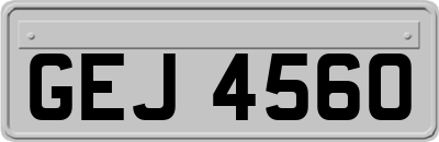 GEJ4560