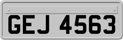 GEJ4563