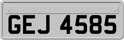 GEJ4585
