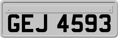 GEJ4593