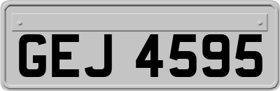 GEJ4595