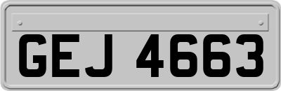 GEJ4663