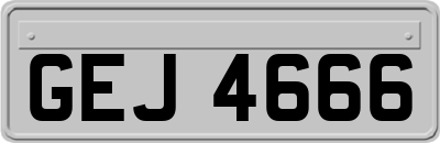 GEJ4666